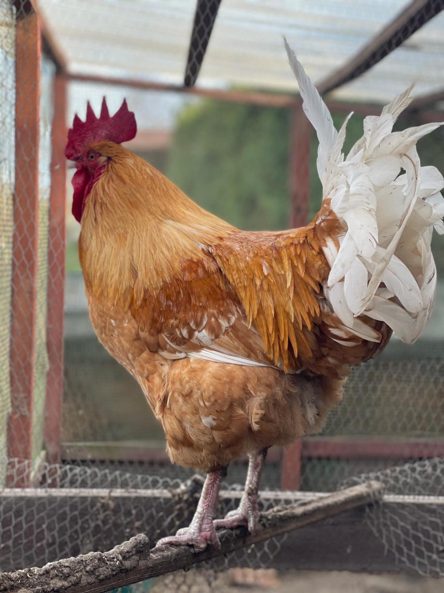 הוילה Biala  Agro Na Wapniarni מראה חיצוני תמונה